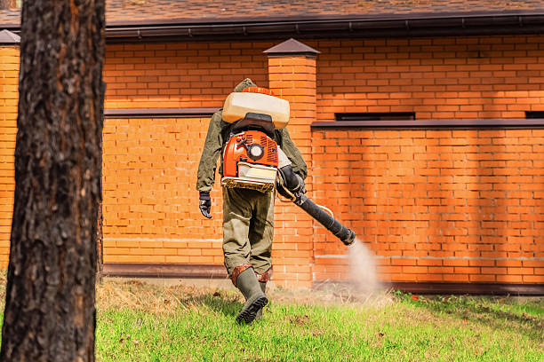 Trusted Termite Control service in Grundy Center, IA - Nex Pest Control